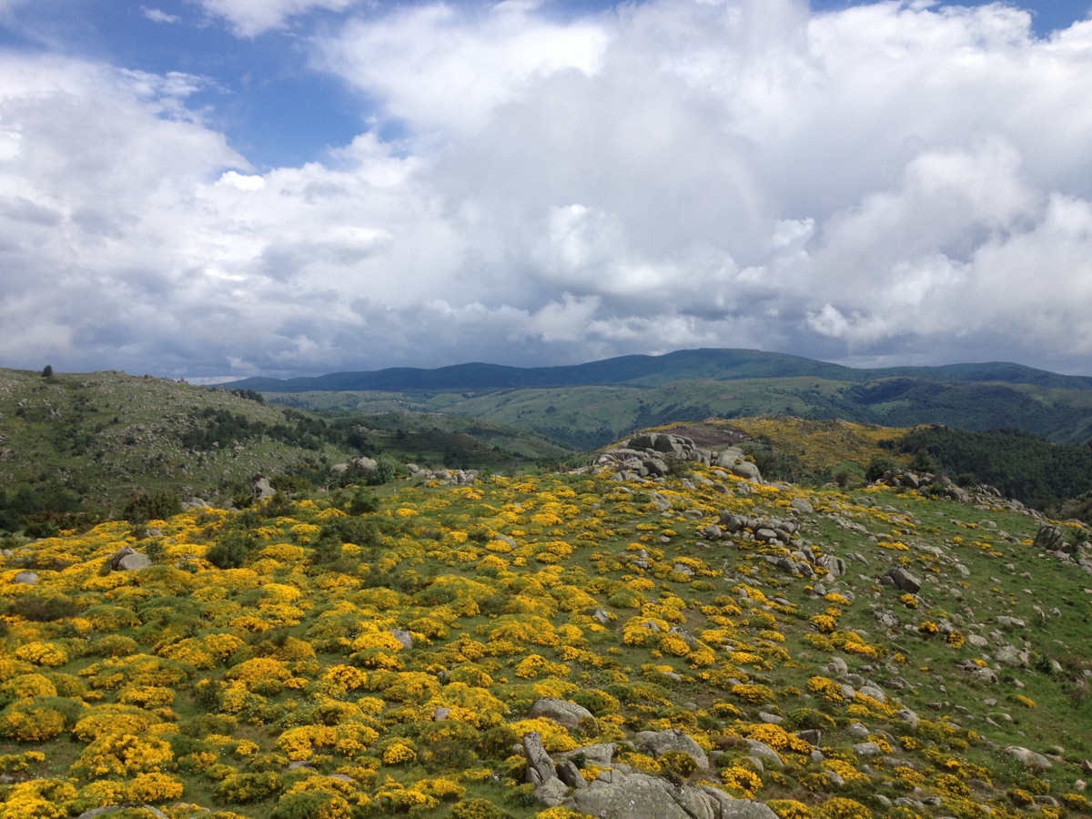 CYCLE DE PRINTEMPS 2019 | Regards sur les lettres et les arts dans la France d’aujourd’hui